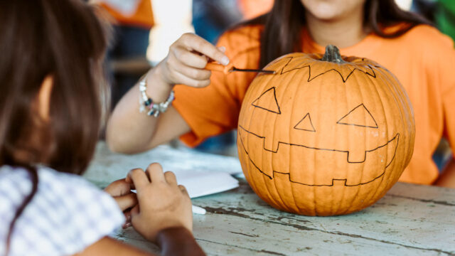 Fattoria della Zucca 2