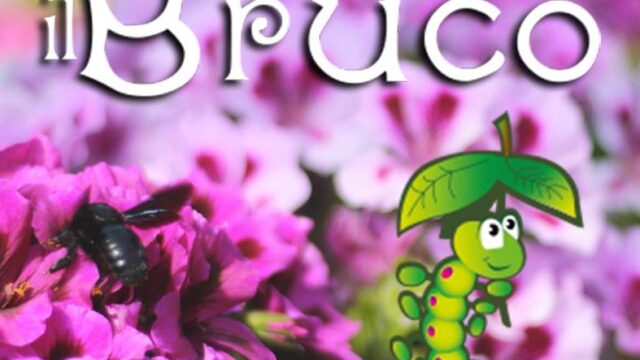 Fattoria Didattica IL BRUCO