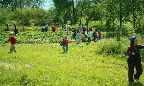Agriturismo Podere Rega