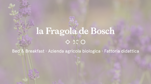 La Fragola de Bosch