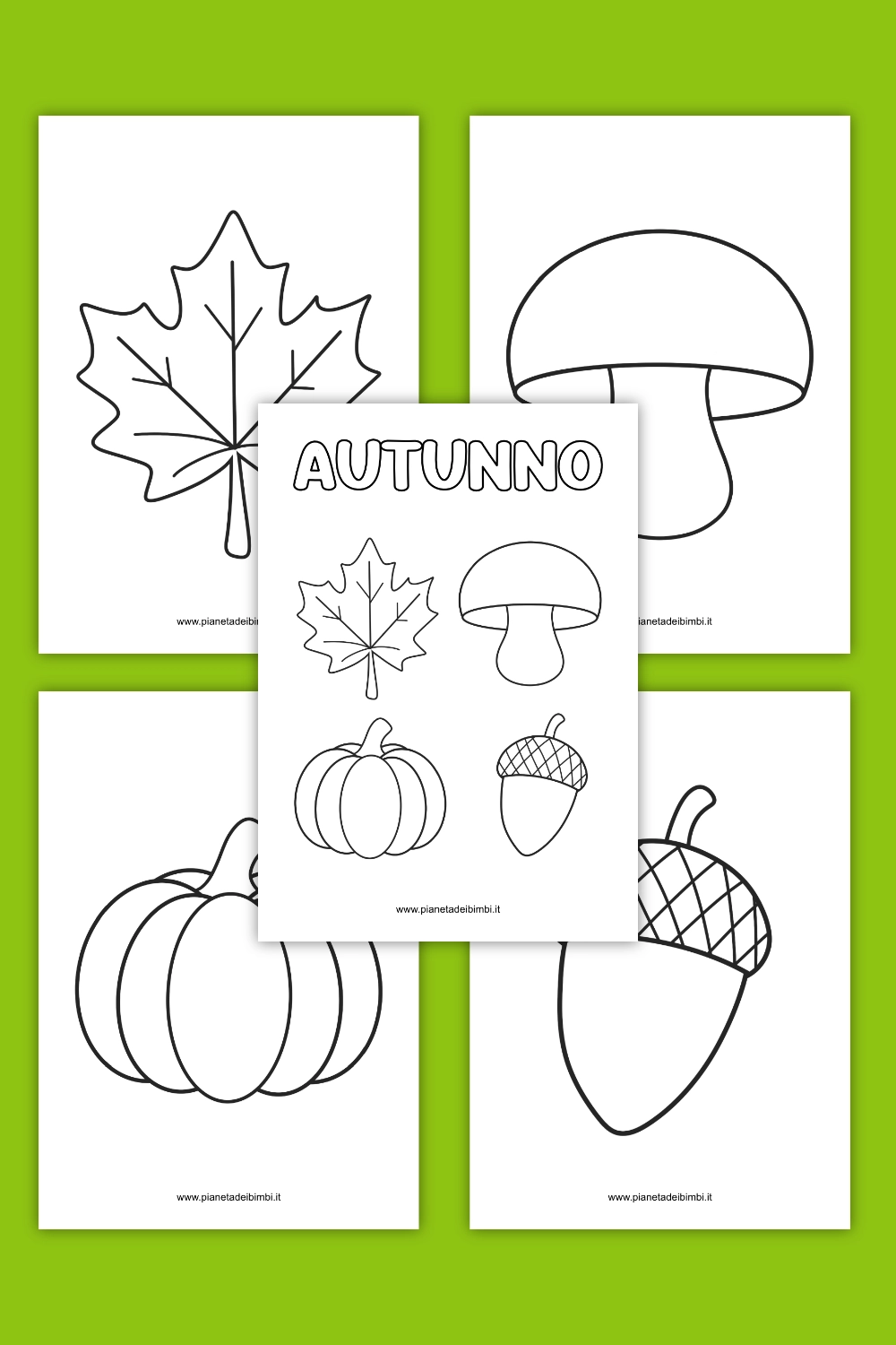 elementi autunnali da colorare. Foglia, fungo, zucca e ghianda
